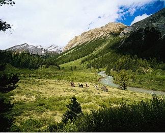 《华纳大乱斗》IGN 8.0分：基础非常扎实的作品